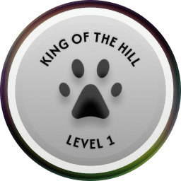 King of the Hill